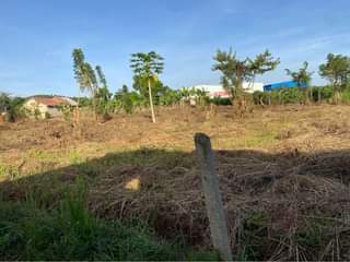 A picture of One acre for sale 70M. Bombo 23 miles only 50metres