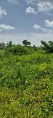 A picture of ONE SQUARE MAILO 2 5m per acre Nakaseke Wakyato URGENT