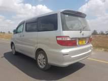 A picture of Alphard 0684653022 or 0714127015