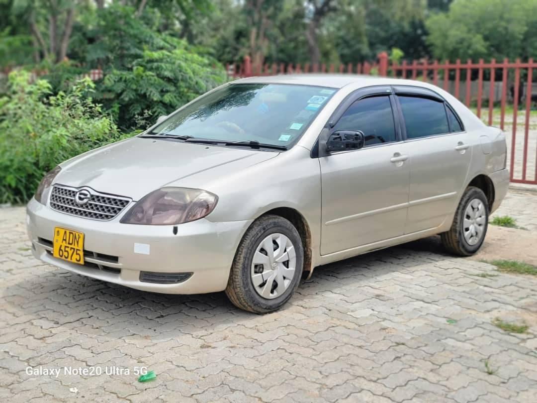 toyota corolla bubble