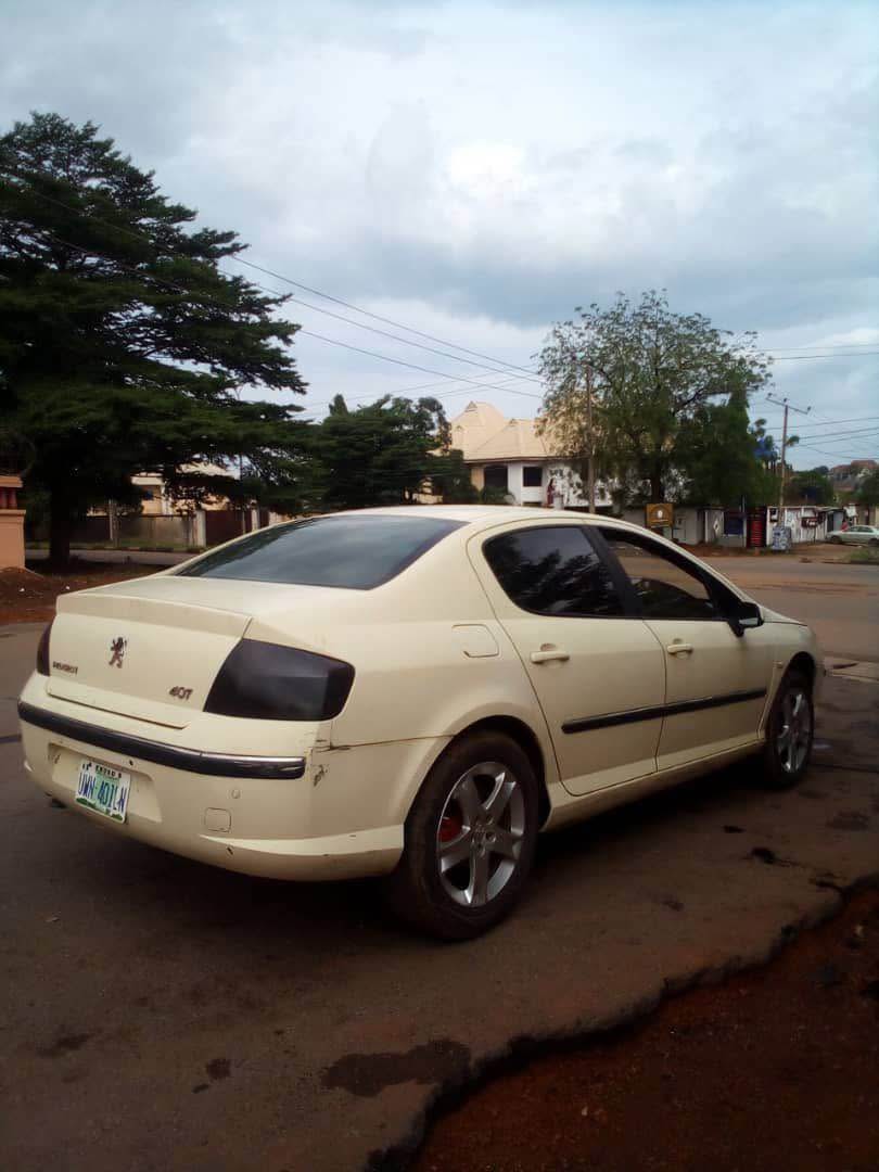 A picture of Peugeot 407. 08036407690