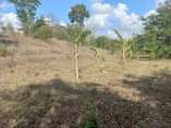A picture of SHAMBA SQMT 5200 LINAUZWA KILUVYA GOGONI