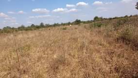 mwembeshi