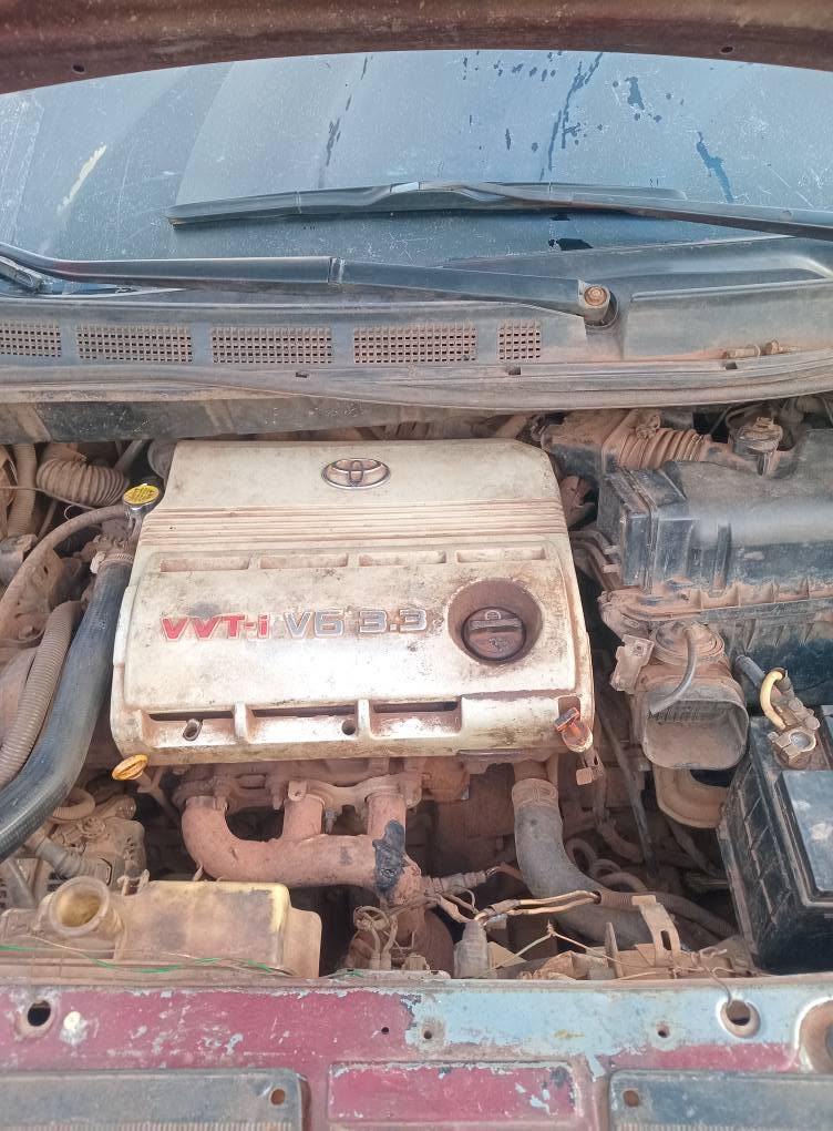 A picture of Toyota Sienna XLE