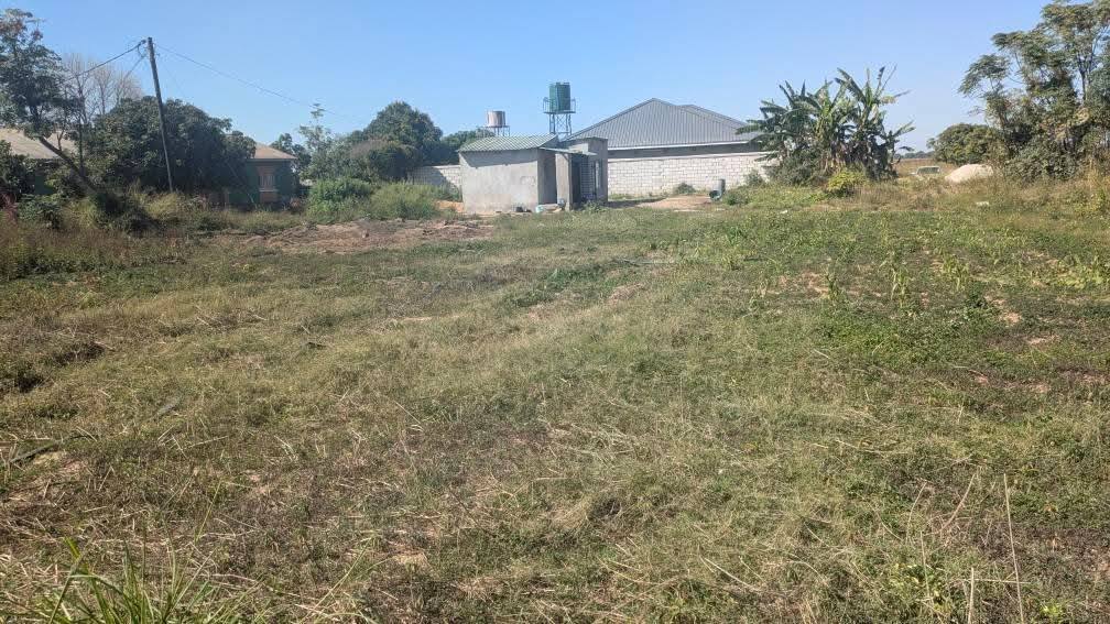 zambia plots