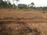 A picture of Matugga Bele estates 100by100ft 17m 100by50ft 8 5 Better accept
