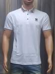 A picture of Polo t shirt