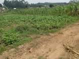 A picture of A plot for sale at Seguku Katale village Bukwenda