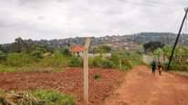 A picture of CHRISTMAS OFFER 50BY100 WITH READY LAND TITLE AT 20M NKOWE