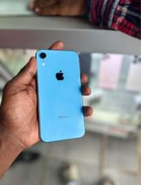 A picture of iPhone XR