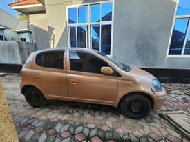 A picture of Vitz