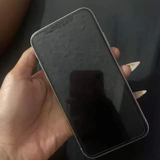 Apple F.