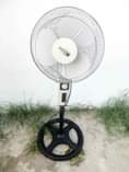 A picture of Feni tsh 32000