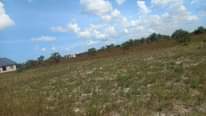 A picture of VIWANJA VIZURI VINAUZWA KIGAMBONI DEGE