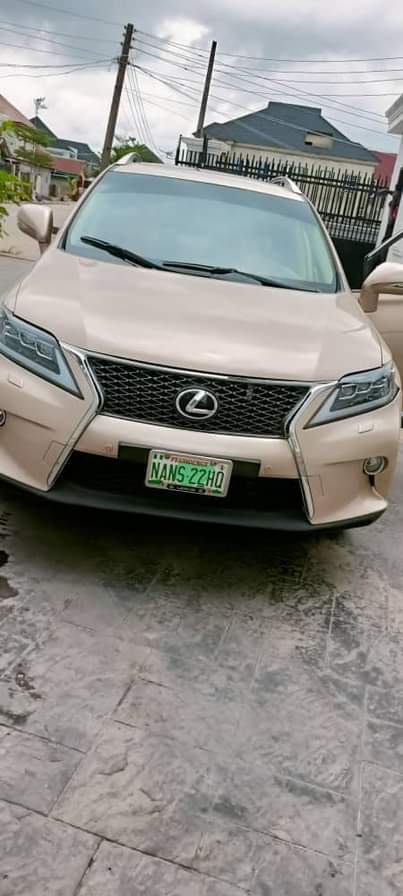 A picture of Rx350 2010 updated 2016