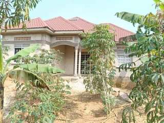 A picture of QUICK SALE IN MUKONO NAMUMILA 55M 3bedrooms 3 bathrooms Land