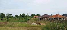 A picture of 50 100 feet plot with ready land title starts from