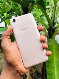 A picture of Oppo A83