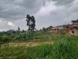 A picture of AM SELLING MY PLOT AT KASEGEJJE WAKISO AT 3M ONLY