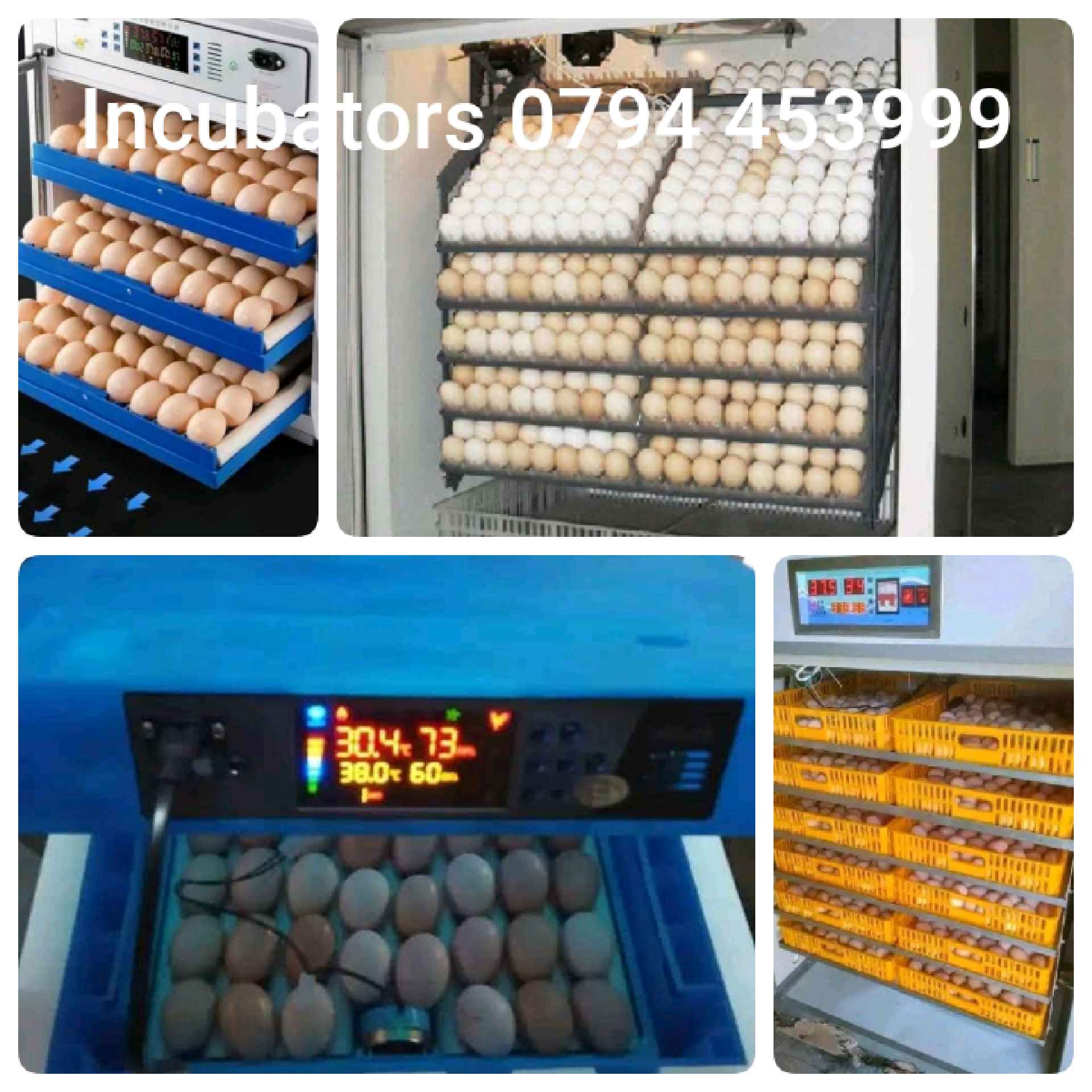 A picture of Incubators