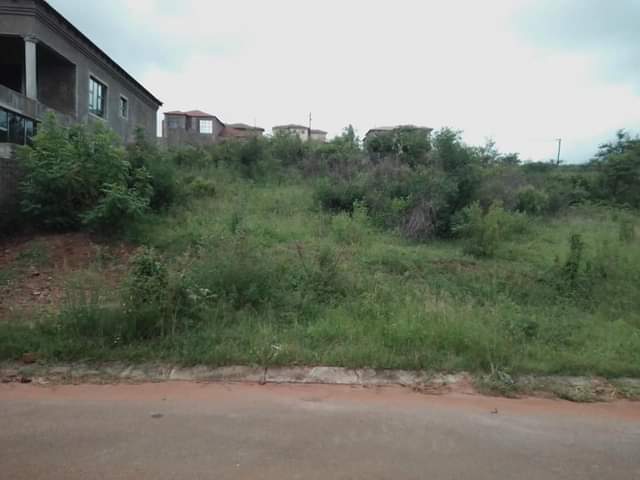 LIMPOPO V.
