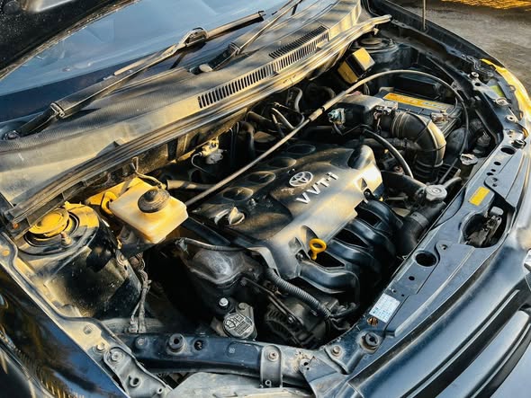 A picture of TOYOTA IST
