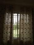 A picture of Nauza Vyote