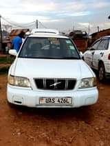 Lusiba S.