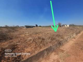 nemamwa stands