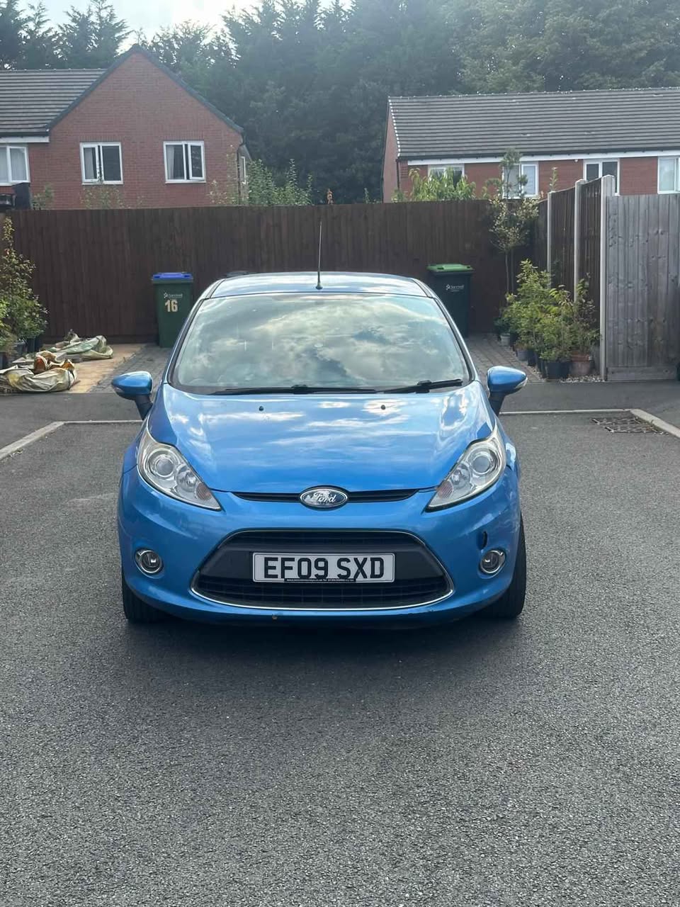 ford zetec