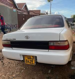 A picture of Clean Toyota Kikumi