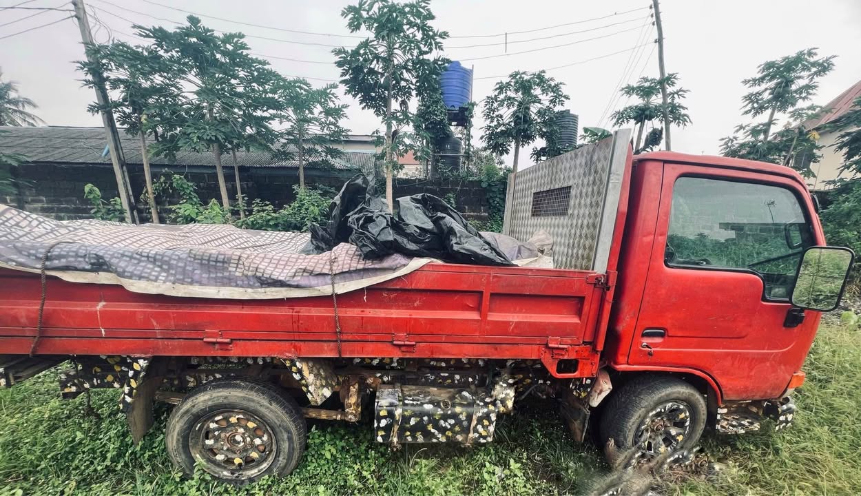 A picture of Nissan Cabster
