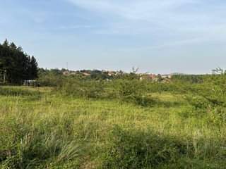 A picture of 13 Acres Private MAILO Land available on Sale at NAMUGONGO