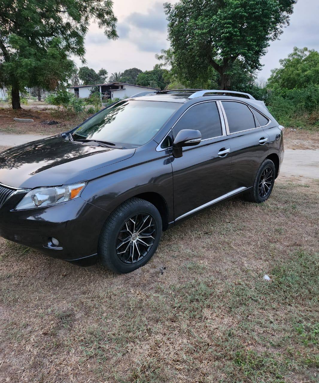 A picture of Lexus Rx350 2011