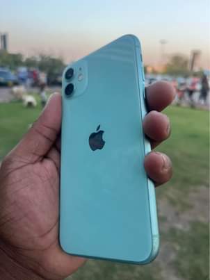 A picture of Iphone 11 plain