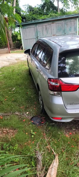 hybrid cars