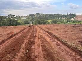 A picture of AFFORDABLE AND GENUINE PLOTS FOR SALE IN NAMUSERA WAKISO