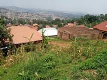 A picture of Plots for sale at Buddo Kimbejja on Masaka rd