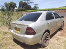 Mkenya H.
