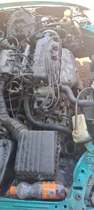 A picture of HONDA CIVIC