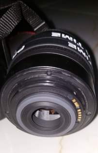 A picture of Canon EOS 60D