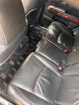 A picture of Harrier