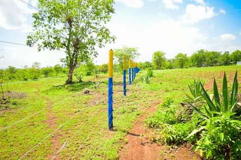 makutano plots