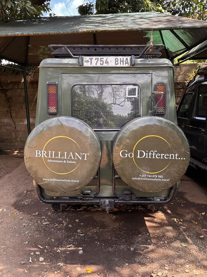 A picture of Toyota Landcruiser