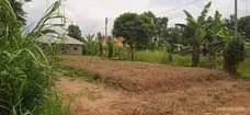 A picture of NAMAYUMBA KASANGA PLOTS 7 million