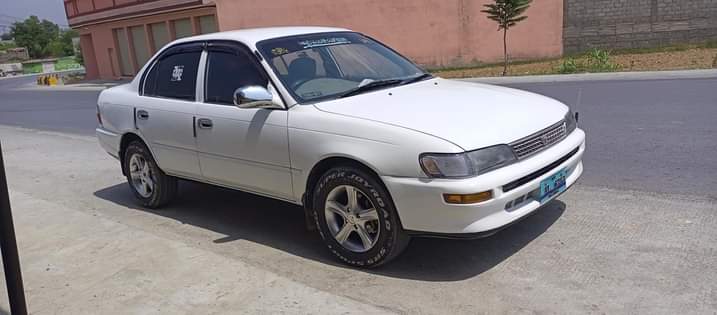 Old M.