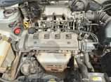 A picture of Carina Ti for sale 0657633355
