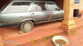 A picture of 1998 Peugeot 504 wagon bestline 504