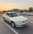 A picture of Carina ti