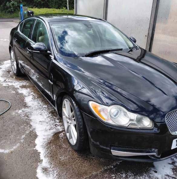 jaguar